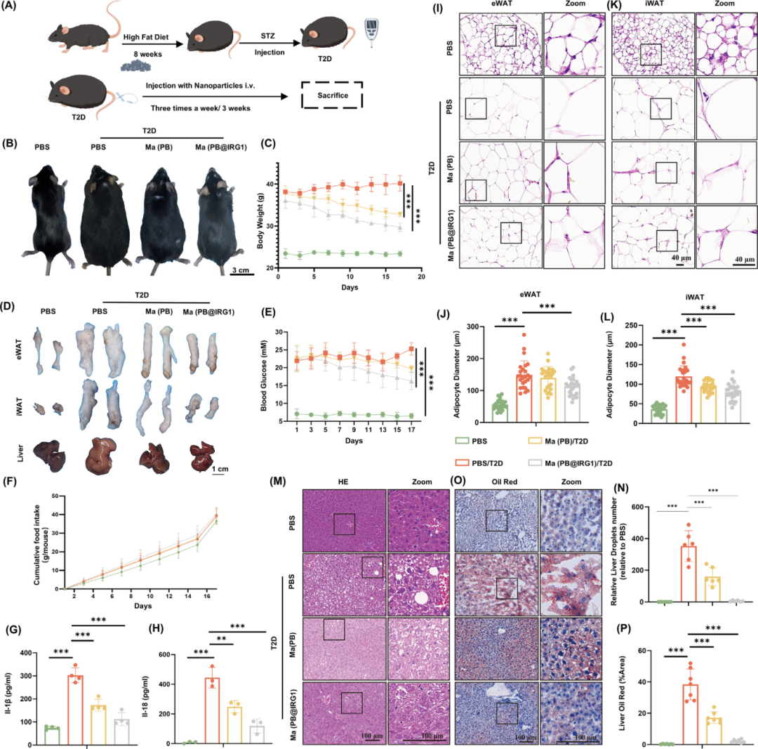 治疗二型糖尿病