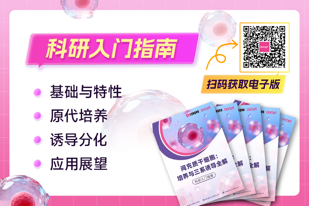 间充质干细胞：培养与三系诱导全解