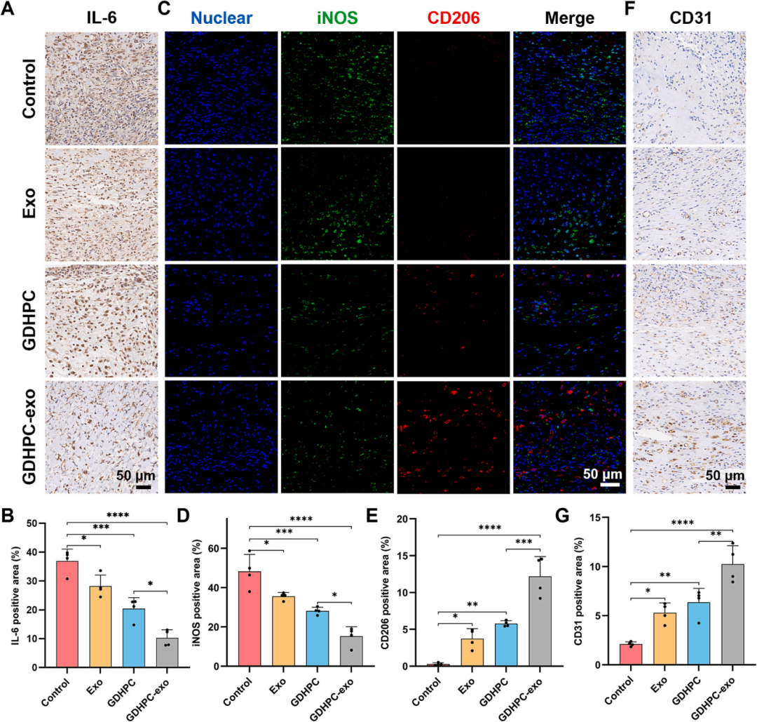 治疗糖尿病创面新策略