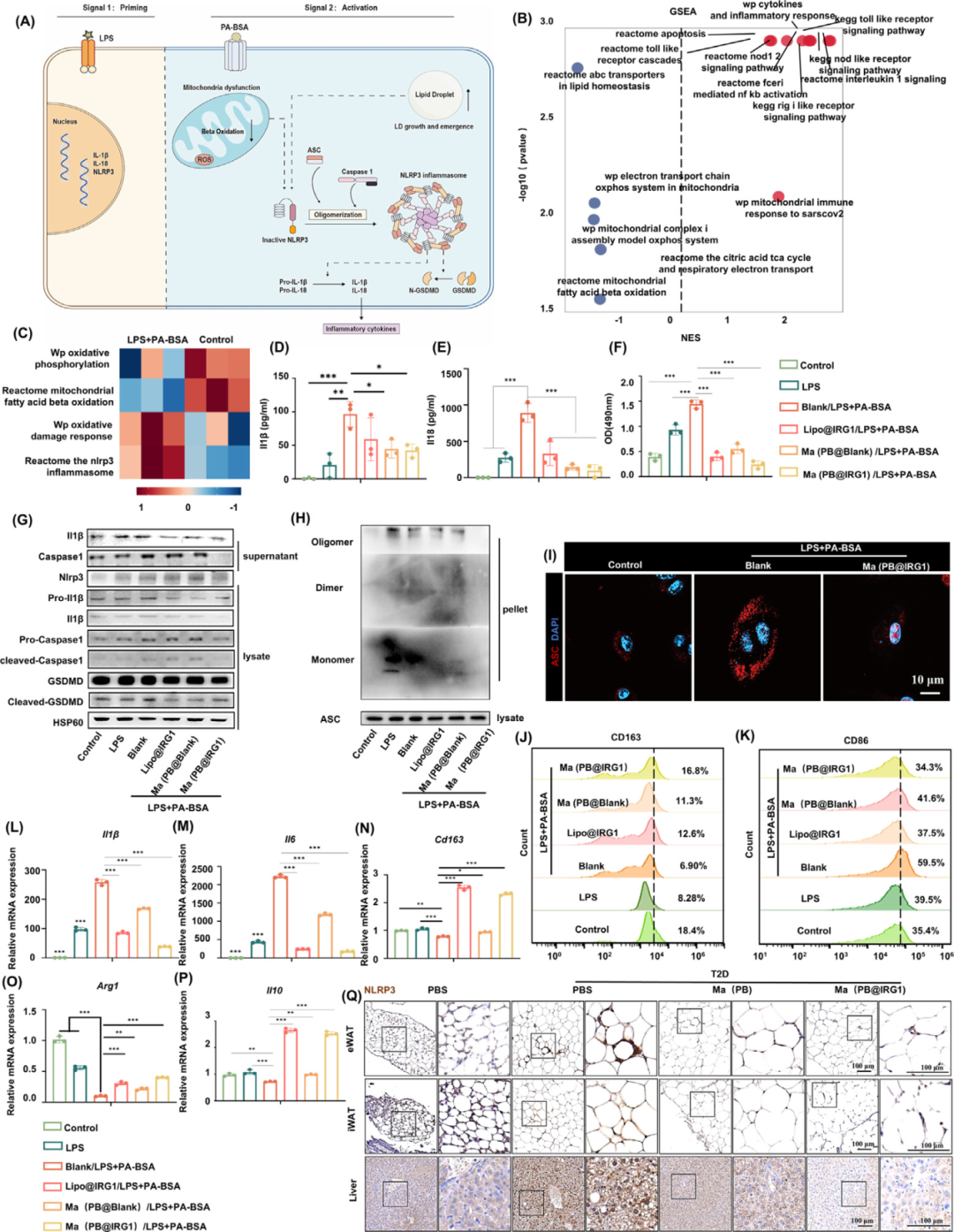 治疗二型糖尿病