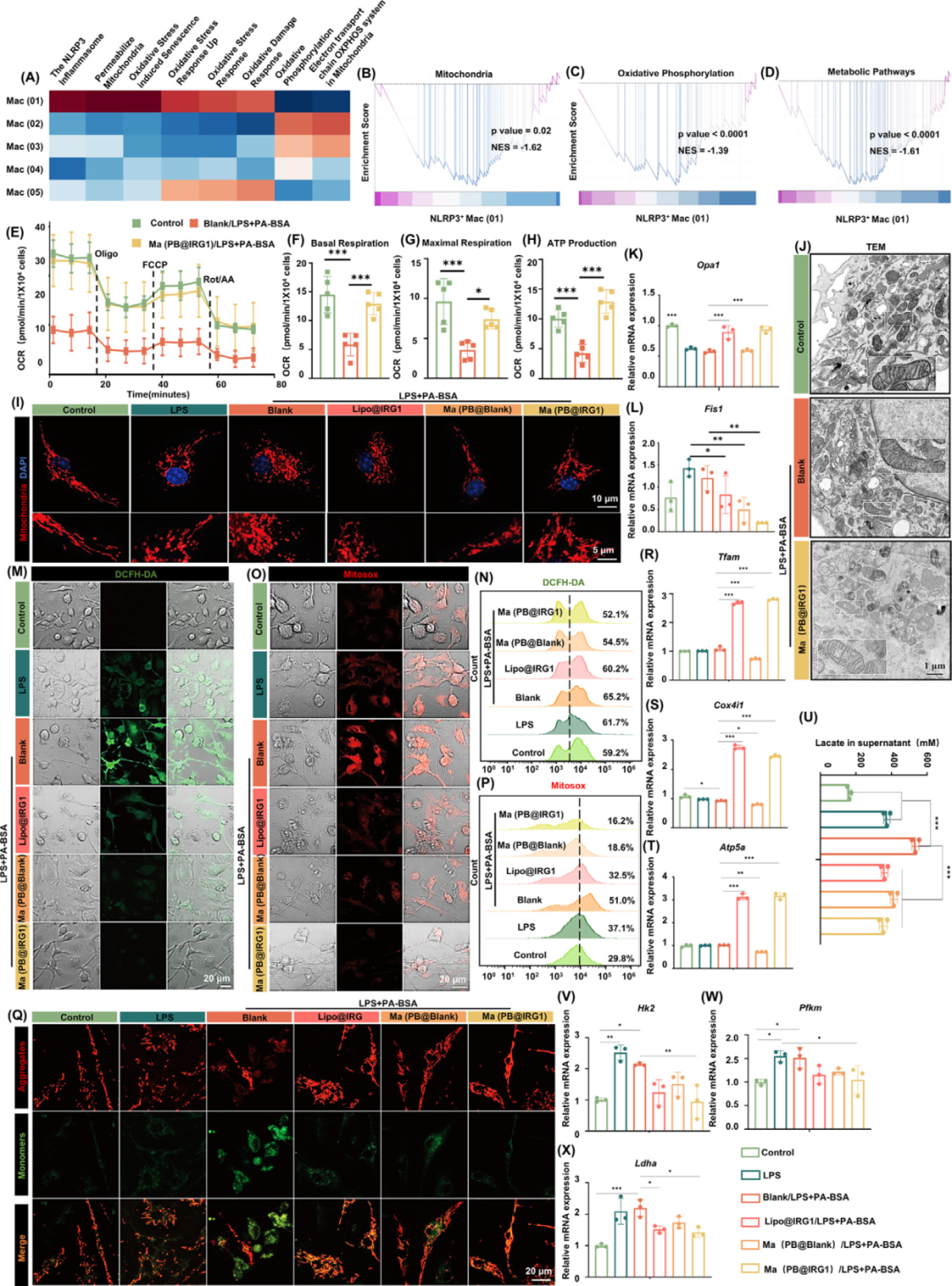 治疗二型糖尿病