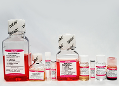 OriCell<sup>®</sup>小鼠3T3-L1细胞成脂诱导分化试剂盒