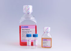 人脐带间充质干细胞完全培养基