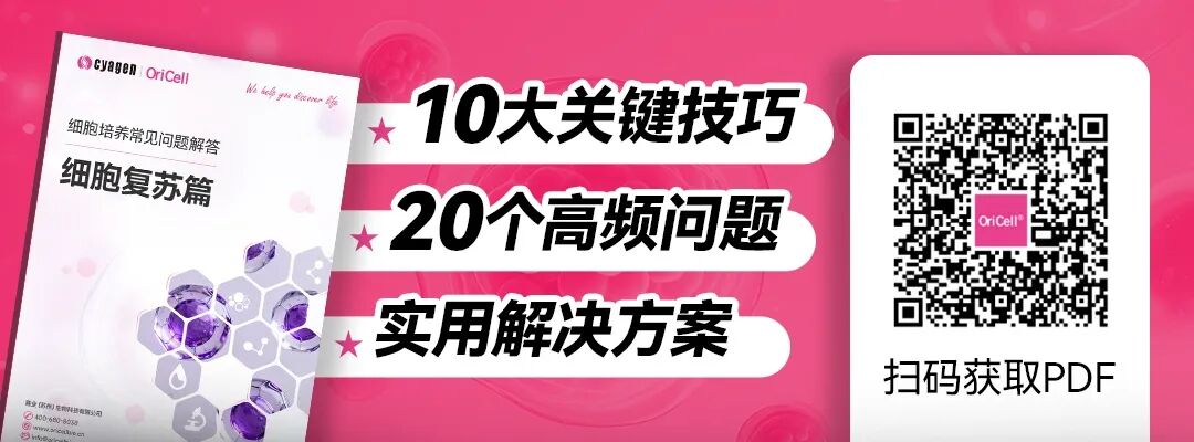 细胞复苏标准化操作流程