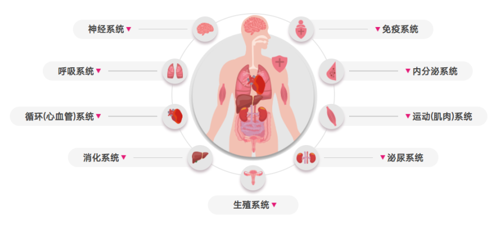 基因修饰细胞实验避坑指南
