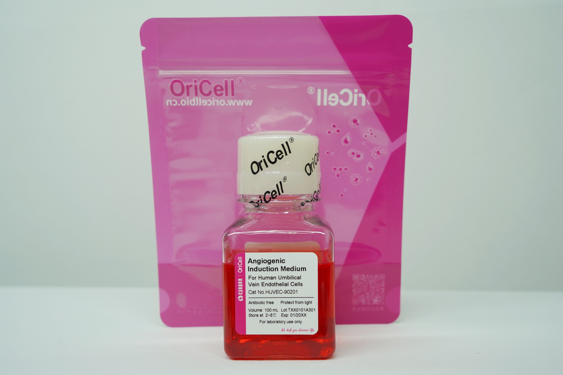 OriCell<sup>®</sup>人脐静脉内皮细胞成血管诱导培养基试剂盒