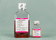 星形胶质 OriCell<sup>®</sup>小鼠星形胶质细胞完全培养基 MUXAC-90011