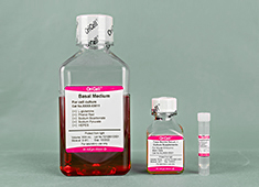 血清型小鼠胚胎干细胞完全培养基 OriCell<sup>®</sup>血清型小鼠胚胎干细胞完全培养基（通用） MUXES-90011