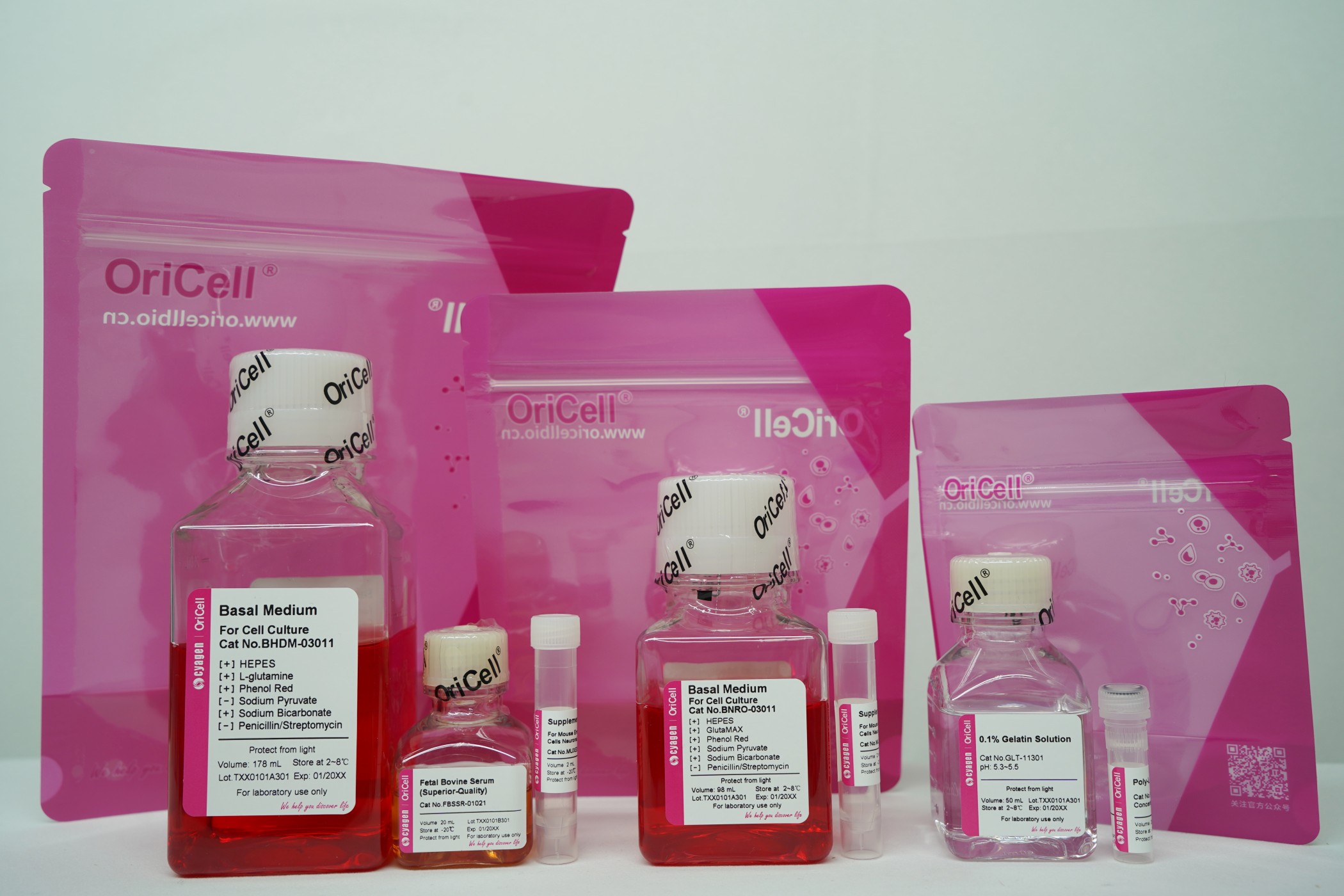 OriCell<sup>®</sup>小鼠胚胎干细胞成神经元细胞诱导分化试剂盒