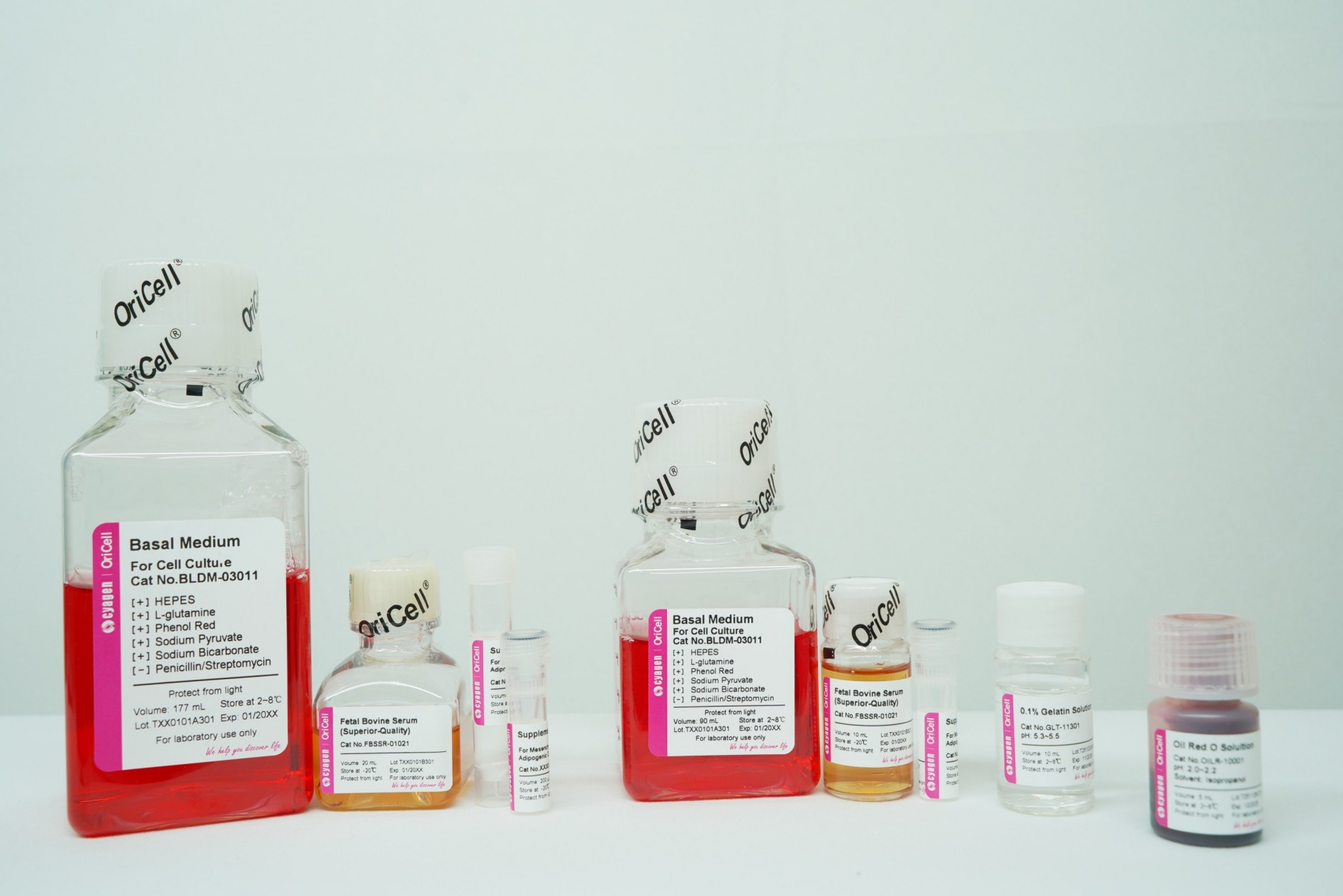 OriCell<sup>®</sup>骨髓间充质干细胞成脂诱导分化试剂盒（多用型）