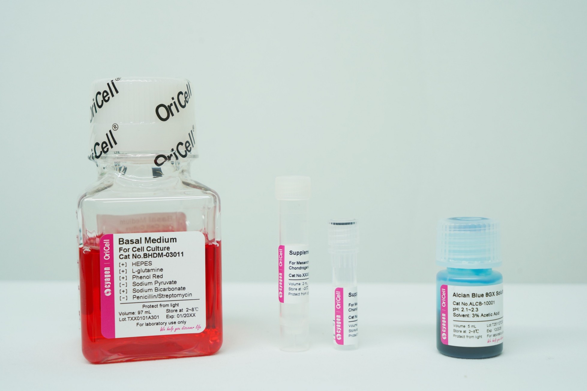 OriCell<sup>®</sup>间充质干细胞成软骨贴壁诱导分化试剂盒（通用型）