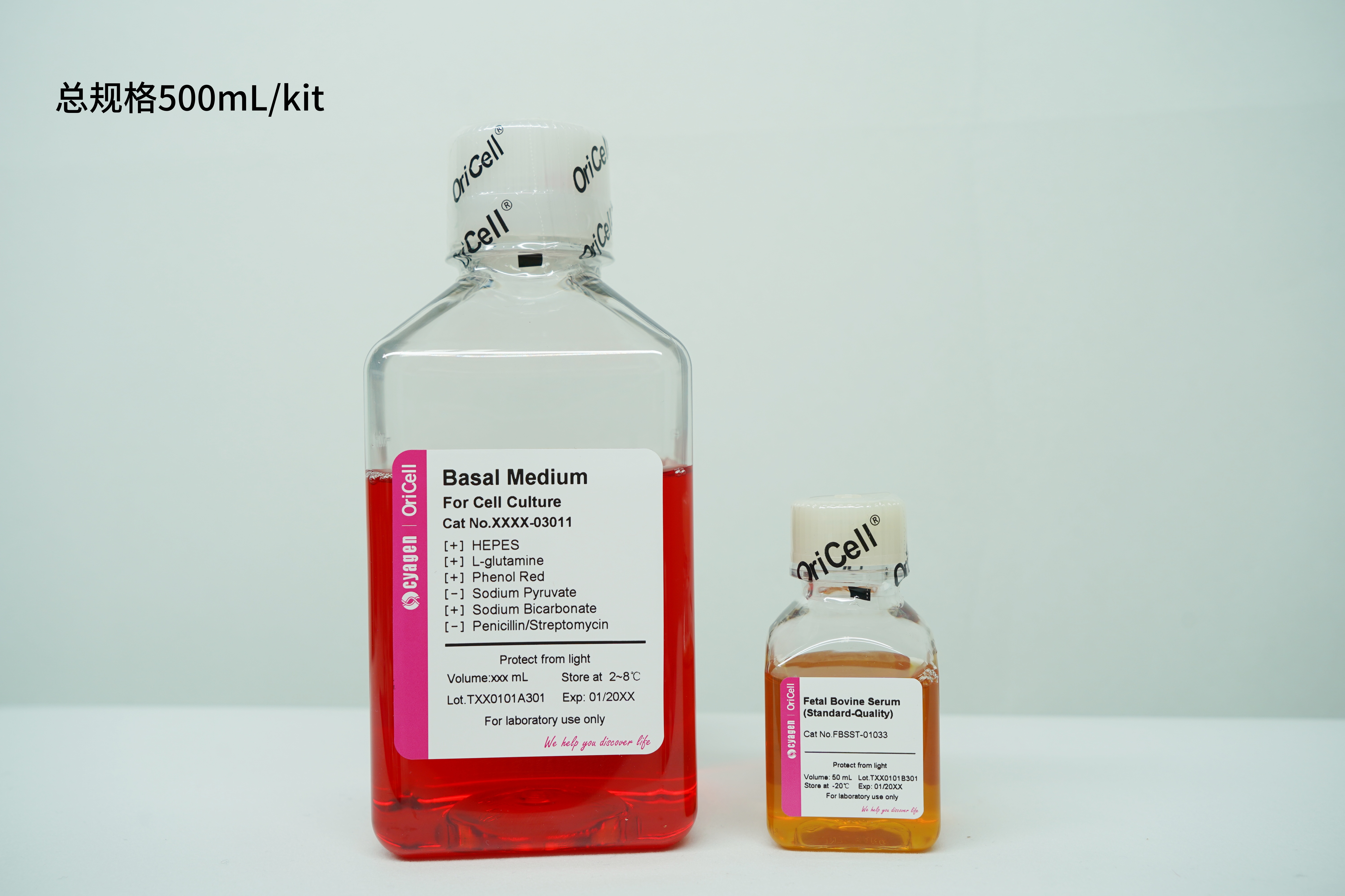 OriCell<sup>®</sup>HT-1197细胞系完全培养基