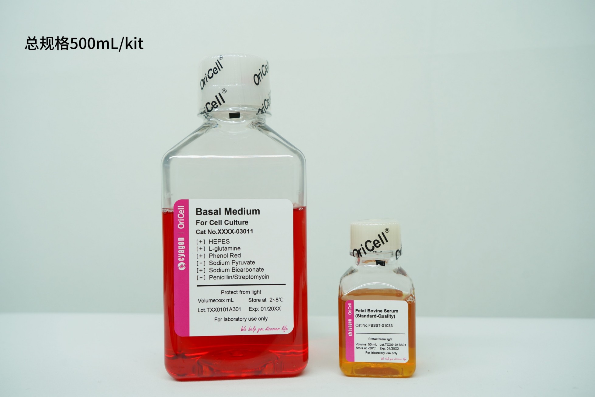 OriCell<sup>®</sup>SW48细胞系完全培养基