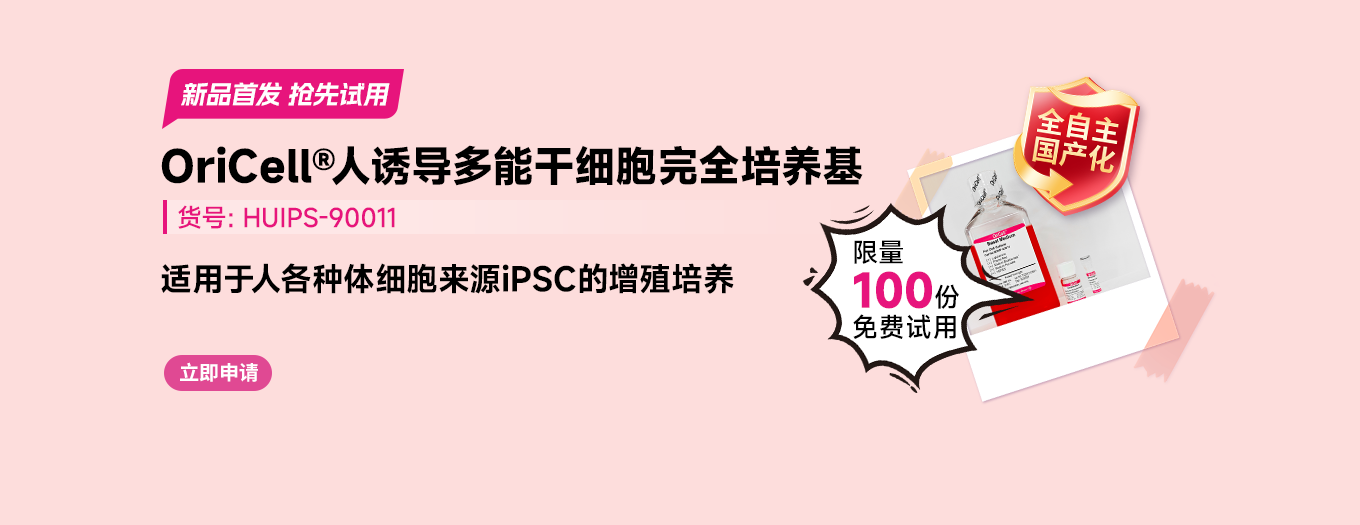 iPSC培养基
