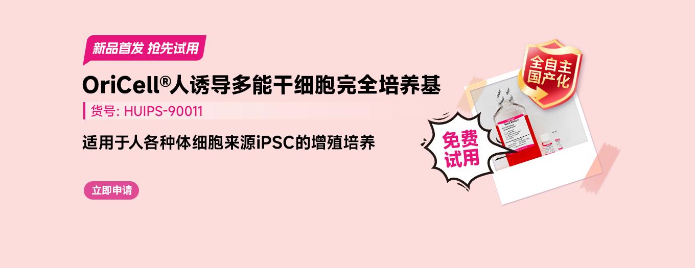 iPSC培养基