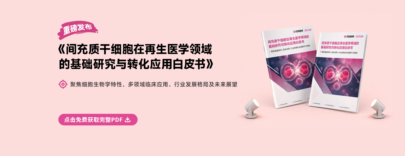 MSC白皮书