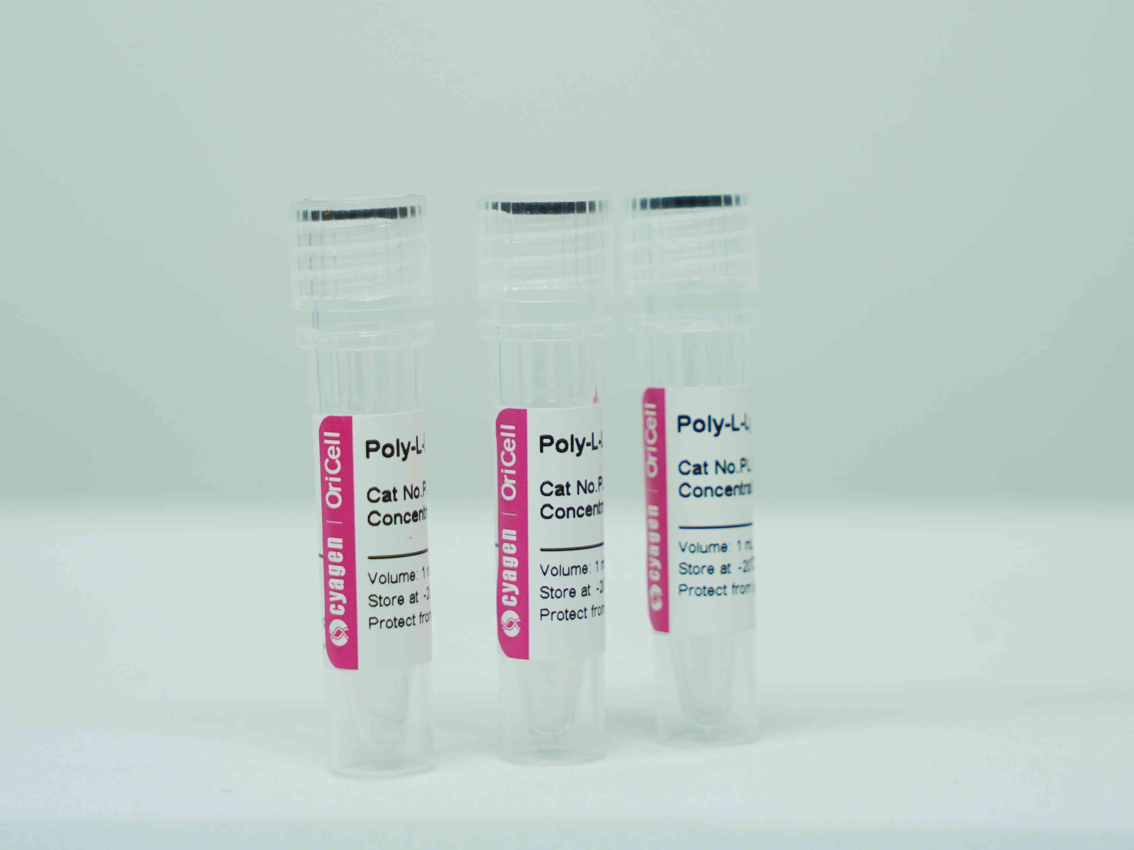 OriCell<sup>®</sup>Poly-L-lysine 多聚-L-赖氨酸