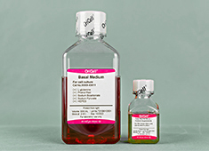 大鼠肌腱干细胞完全培养基 OriCell<sup>®</sup>大鼠肌腱干细胞完全培养基 RAXTA-90011