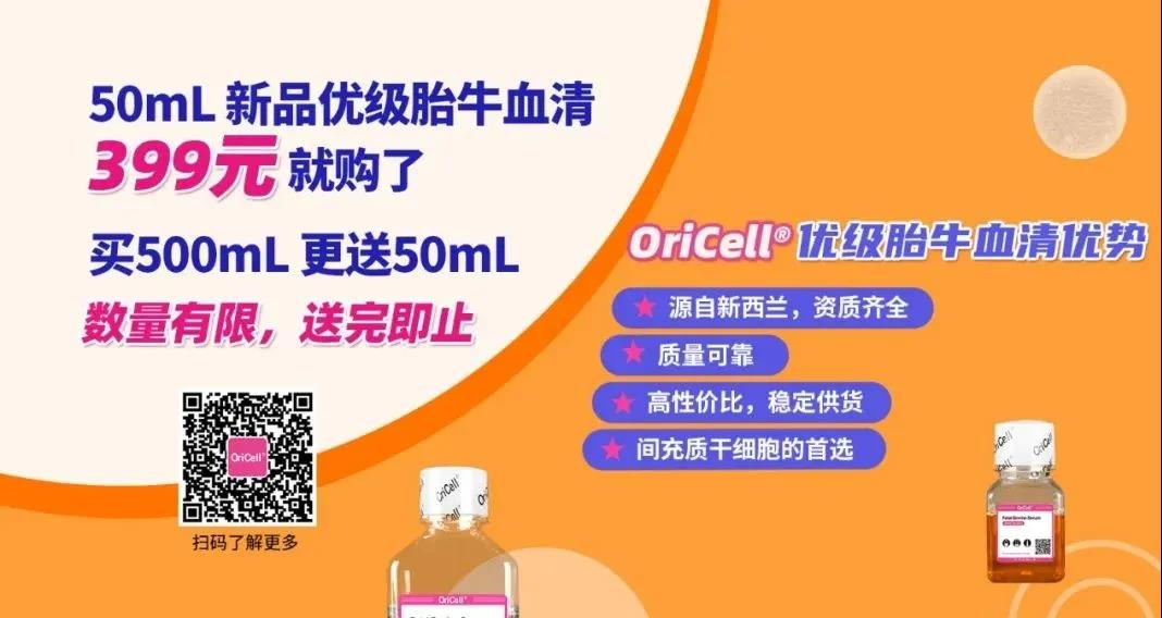 间充质干细胞
