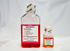 人脐血间充质干细胞完全培养基 OriCell<sup>®</sup>人脐血间充质干细胞完全培养基 HUXUB-90011