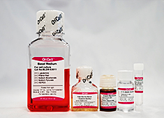 OriCell<sup>®</sup>人相关干细胞成骨诱导分化试剂盒