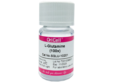 谷氨酰胺 OriCell<sup>®</sup>L-Glutamine (100×)谷氨酰胺添加物 SGLU-10201