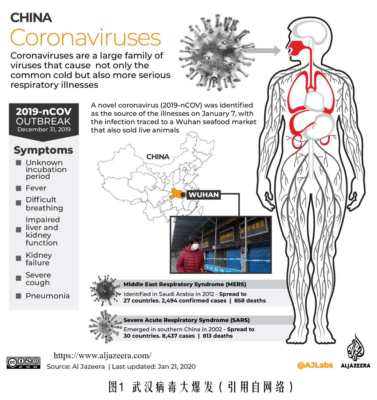 武汉病毒大爆发