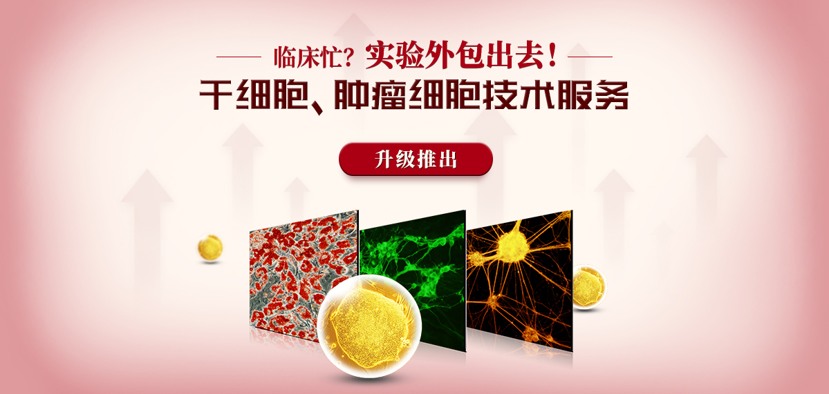 干细胞、肿瘤细胞技术服务升级推出