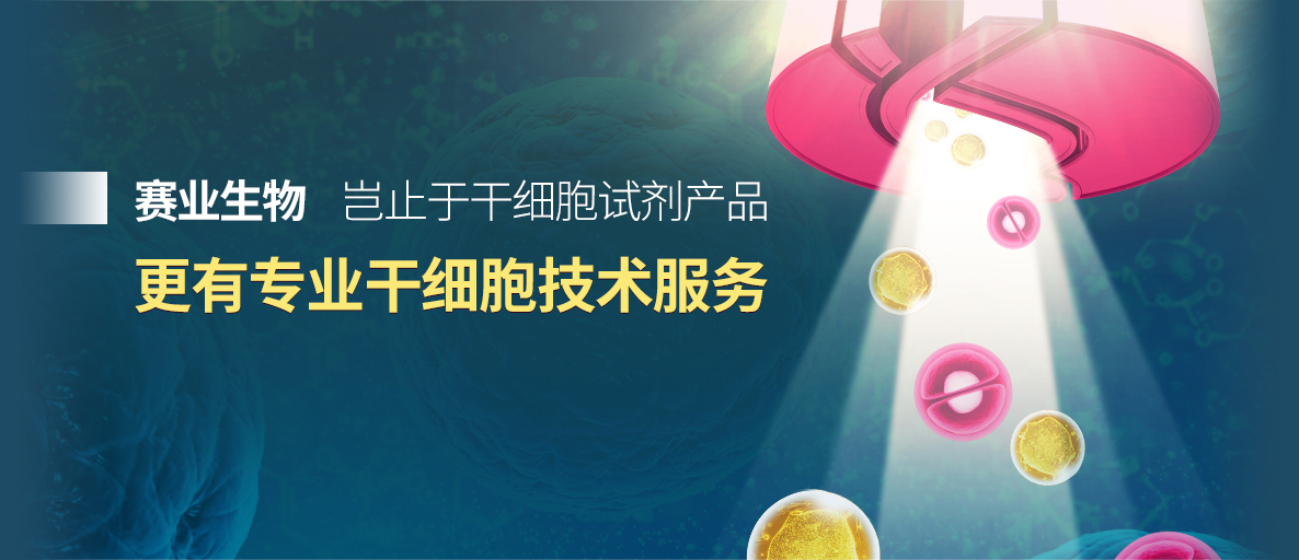 赛业生物，岂止于干细胞试剂产品 更有专业干细胞技术服务
