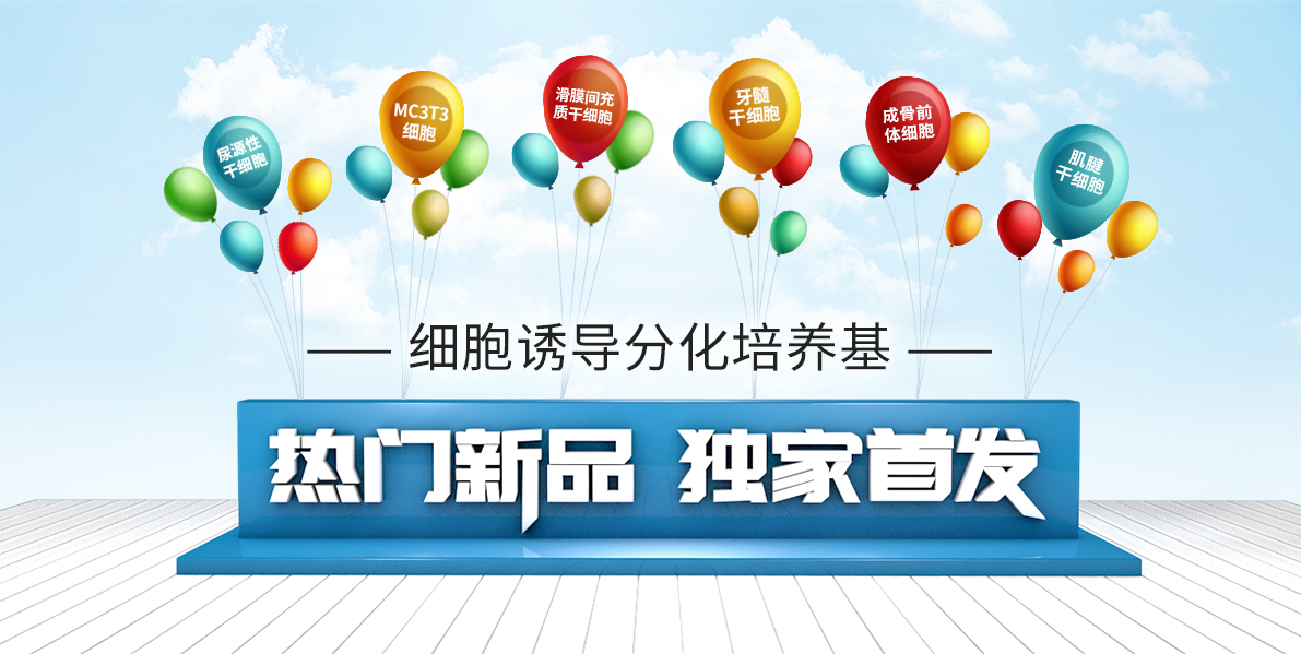 细胞诱导分化培养基
热门新品 独家首发