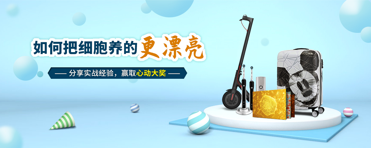 找小鼠 上红鼠 点突变小鼠数据库 全球首发 团购低至4.58万